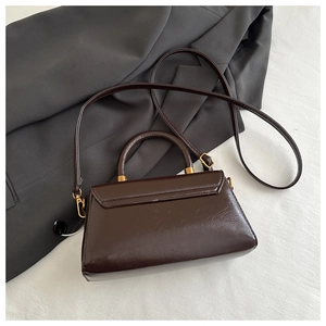 Detailed close-up of dark brown glossy leather handbag with gold metal buckles and flap