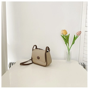 Detail of Korean style beige and brown square crossbody bag with round button closure