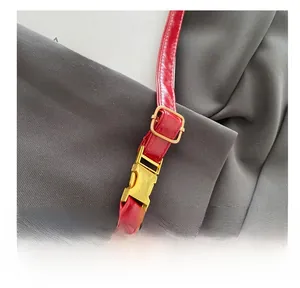 Detail of red glossy leather strap and polished gold metal buckle on a shoulder bag