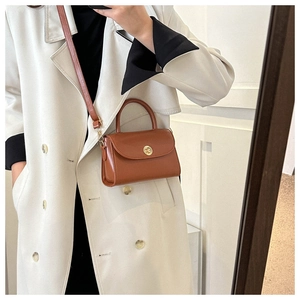 Mirror selfie showing a brown leather mini square bag with a gold clasp and top handle