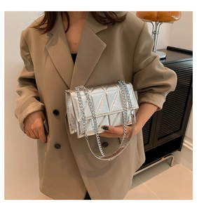 Detailed close-up of a silver quilted chain bag featuring metallic finish and texture