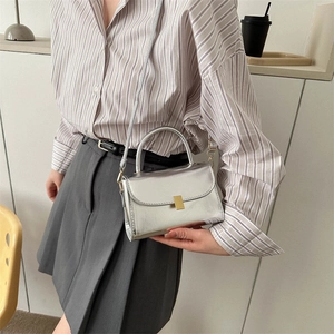Metallic silver crossbody mini bag with gold buckle and top handle for modern women