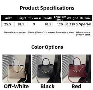 Size guide for woven tote bag showing dimensions 25.5x18.5x9cm and color options