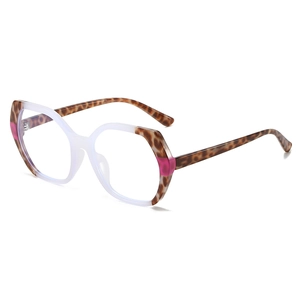 Modern TR90 rectangular gradient eyewear frame with bold color blocking and tortoiseshell legs