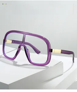 Detail of purple transparent resin eyeglass frames with elegant gold metal accents
