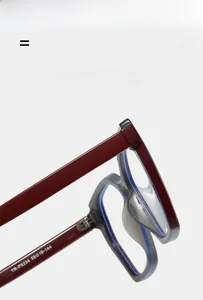 Detail view of TR90 flexible hinges and dual-tone burgundy and transparent grey frame