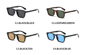 Detailansicht der Retro-Sonnenbrille in Schwarz, Leopard, Tee und Blau mit Metall-Dekor