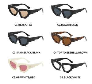 Detail view of stylish geometric sunglasses in six distinct color combinations and frames