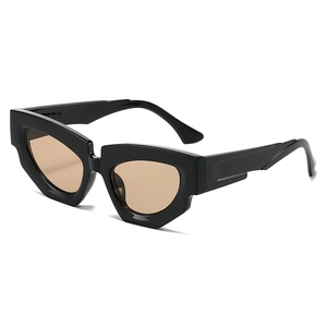 Cat Eye Sunglasses Geometric Irregular PC Frame UV400 Protection Retro Streetwear Fashion For Women Men