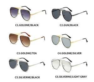 Classic aviator sunglasses collection in six color options with double bridge frames
