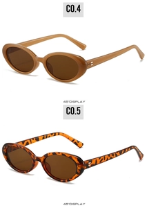 Detail of vintage oval thick frame sunglasses in brown and tortoiseshell patterns