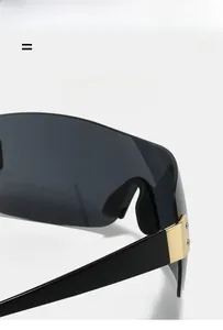 Detail view of large-frame sunglasses featuring high-quality hinges and gold metal accents