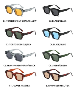 Detailed grid of rectangular sunglasses in eight vintage color combinations for men and women