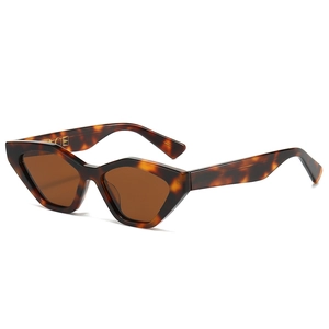 Lunettes de soleil œil de chat rétro en écaille avec verres bruns géométriques