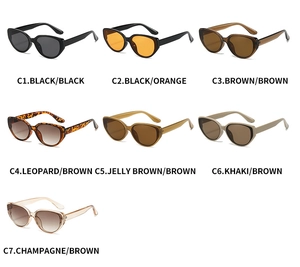 Collection of seven colorful cat eye sunglasses in black, tortoise, and jelly finishes