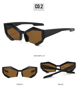 Front and 45-degree views of geometric cat-eye sunglasses with matte black frames
