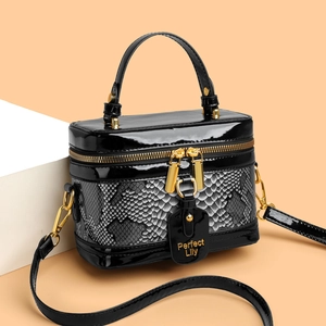 Retro black box handbag with gray snake pattern and gold dual zippers in 45-degree view