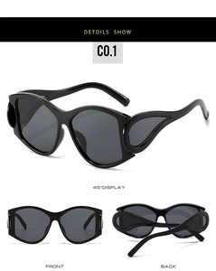 Detailansicht der Punk-Oval-Sonnenbrille mit einzigartigem Flügelbügel-Design