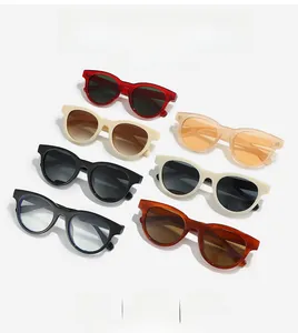 Collection of retro oval sunglasses in various colors with high-quality PC frames