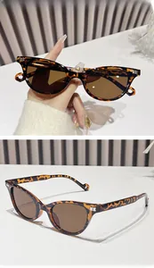 Close-up of retro cat-eye tortoise sunglasses with metal rivets and brown lenses