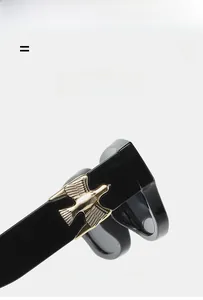 Détail de la branche de lunettes noire montrant le logo aigle doré et le matériau élastique