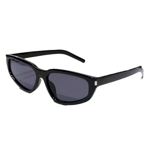 2024 trendy black cat-eye sunglasses with silver metal hinges on a white background
