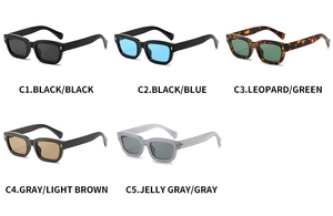 Collection of retro small frame sunglasses shown in five colors with specific color codes