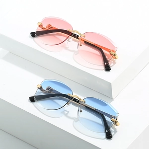 Lunettes de soleil sans monture avec verres dégradés et décor luxe de tête de léopard