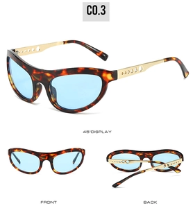 Detailed views of cat-eye sunglasses with tortoiseshell frames and gold hollow temples