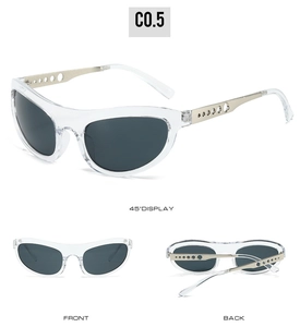 Cat eye sunglasses detail view with hollow circular metal temples and transparent frame