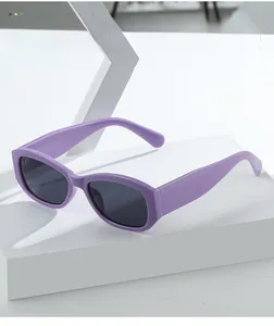 Detail view of purple thick-frame retro sunglasses with dark grey lenses on white blocks
