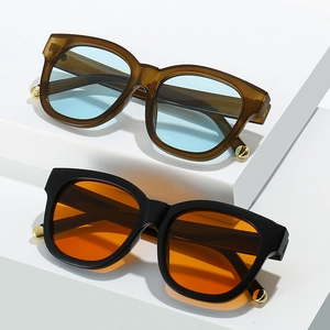 Retro oval sunglasses with thick resin frames and gold spherical temple accents