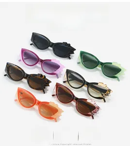 Seven colors of trendy cat eye sunglasses with unique flame-shaped irregular temples