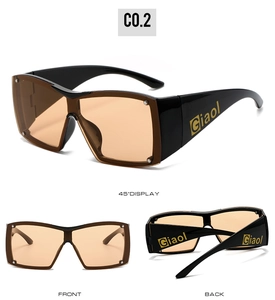 Detailed views of Y2K shield sunglasses with tea lenses and gold rivet accents