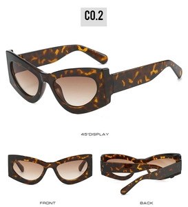Vues détaillées des lunettes de soleil œil de chat vintage avec monture en écaille de tortue