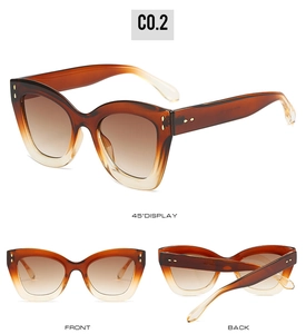 Vues détaillées de lunettes œil de chat avec monture dégradée et détails en métal C0.2