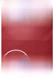 Close-up of waterproof red leather texture with golden kangaroo logo and hardware