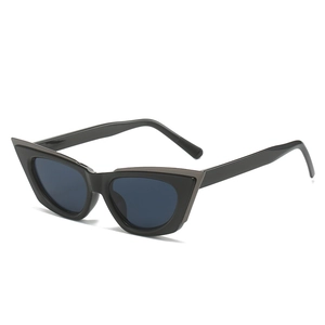 Retro Cat Eye Sunglasses UV400 Protection Plastic Metal Frame PC Lens Hip Hop Fashion Eyewear Trendy Unisex Sunglasses