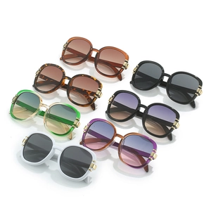 Fashionable oversized oval sunglasses in seven colors with chic golden metal hinges