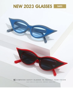 Detail of vintage cat-eye glasses frames in blue-grey and red-black color combinations