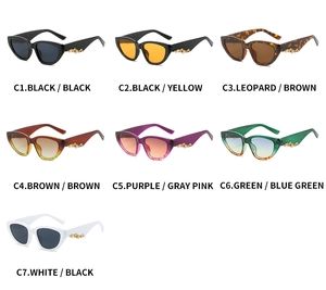Detailed collection of cat eye sunglasses in seven colorways with gold temple accents