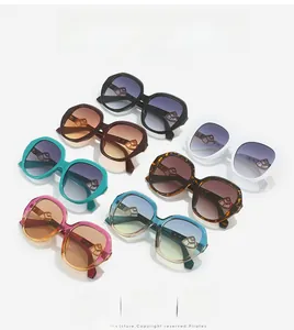 Collection of oversized oval sunglasses in various colors including tortoiseshell and black