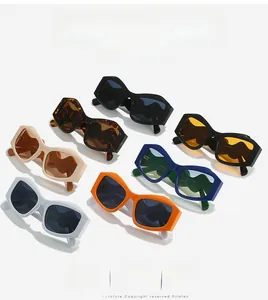 Vue à plat de lunettes de soleil vintage à monture épaisse en plusieurs coloris tendance