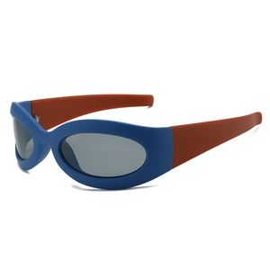 Retro Oval Sunglasses Y2K Sports Cycling Polarized UV400 Protection Polycarbonate Frame TAC Lens Outdoor For Men Women