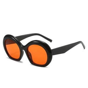 Lunettes De Soleil Ovales Rétro Monture PC Protection UV400 Verres Épais Mode Streetwear Fête Voyage Pour Femmes Hommes
