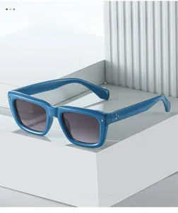Gros plan sur la monture rétro bleu vif avec rivets métalliques fins sur les lunettes