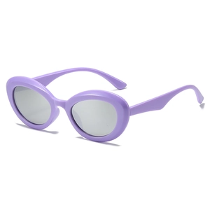 Lunettes De Soleil Ovales Rétro Vintage Cat Eye Style Y2K Protection UV400 Monture PC Lentilles AC Pour Hommes Femmes Mode Streetwear
