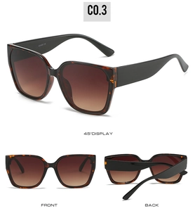 Detail view of tortoiseshell square sunglasses with UV400 CE marking on the inner temple