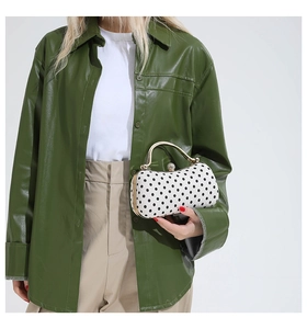 Détails du mini sac à main à pois avec poignée dorée et fermoir élégant sur le dessus