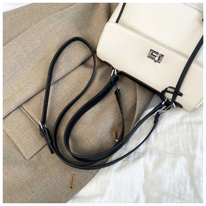 Close-up of minimalist cream square crossbody bag with black strap and silver twist lock